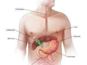PANCREATCI CANCER PANCREATCI CANCER